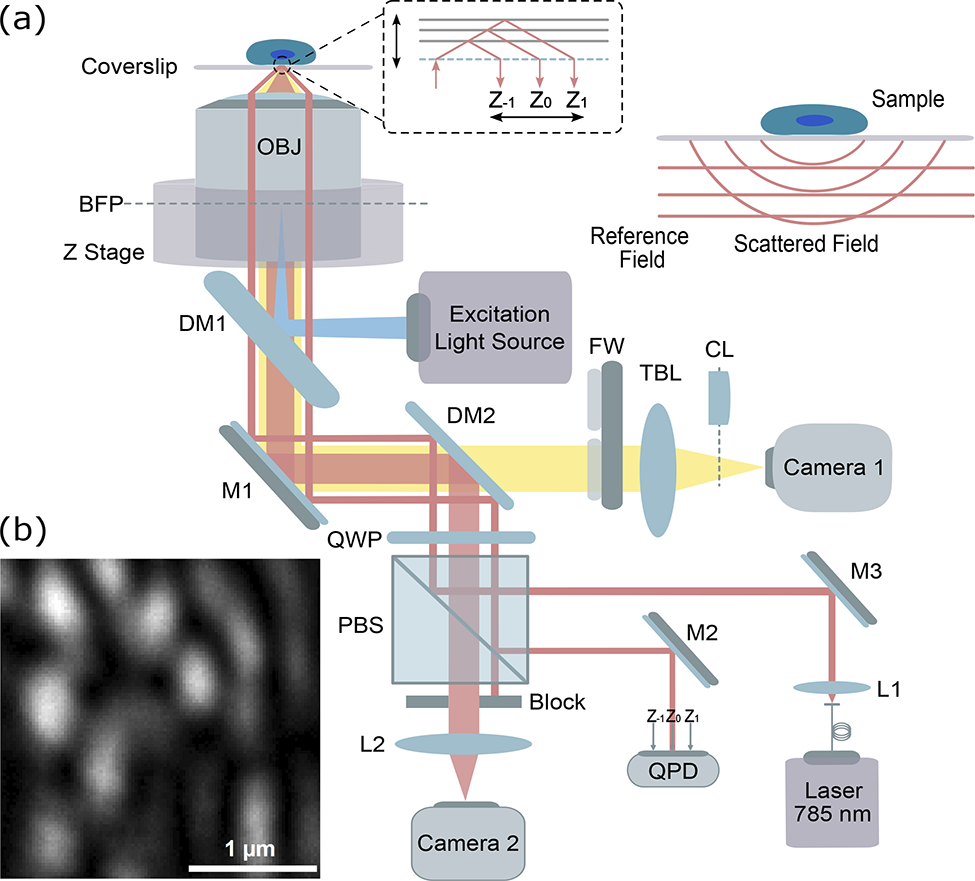 Schematic of the optical setup for 3D drift correction in super-resolution imaging